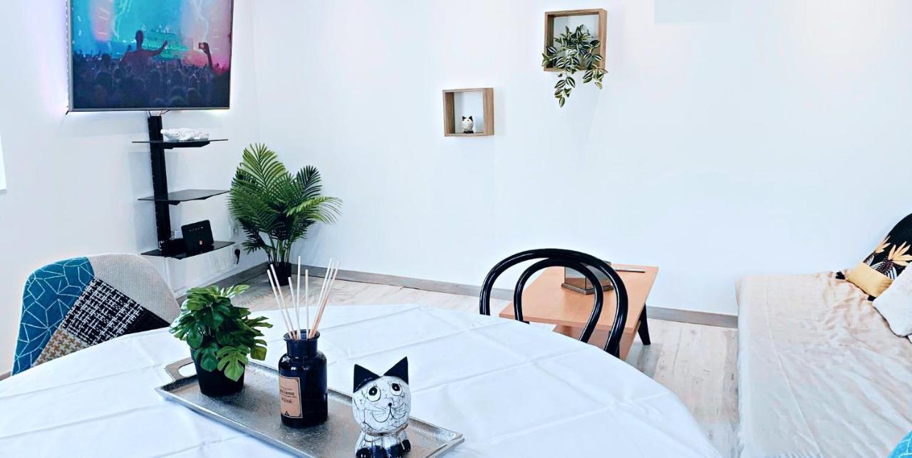 Le P'tit Cocon Appartement Mâcon